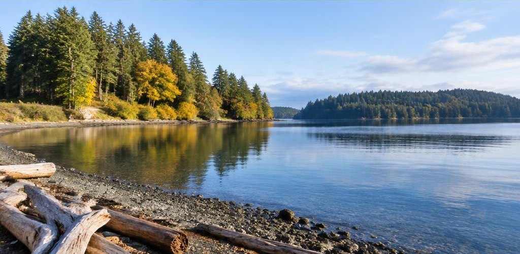 Illustrative Pacific Northwest lifestyle scene accompanying Moving from Alabama to Olympia, WA: A Relocation Guide