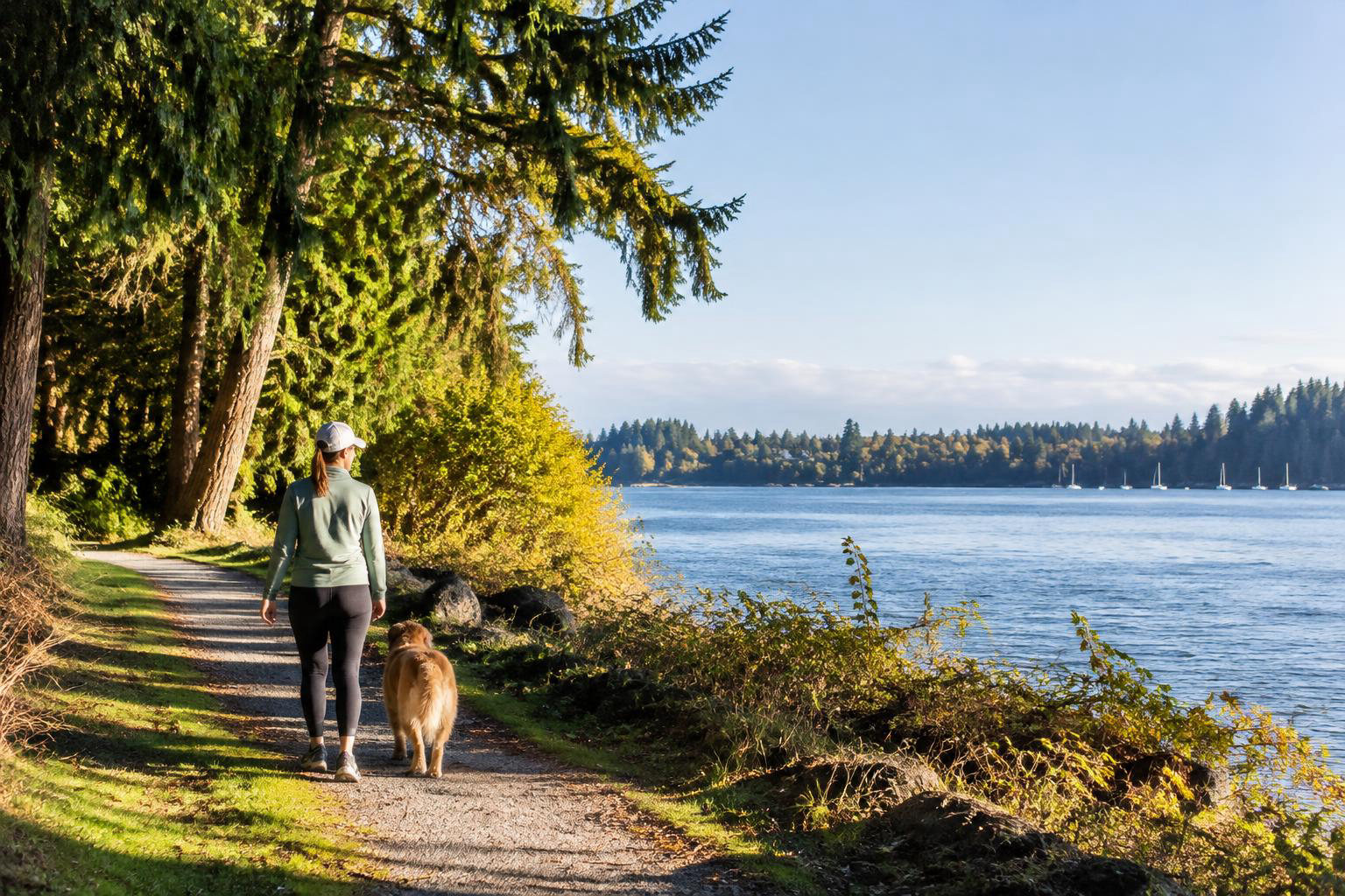 Illustrative a distinct regional lifestyle, outdoor, travel, or home detail accompanying Olympia’s Best Parks and Trails for Your Everyday Outdoor Routine