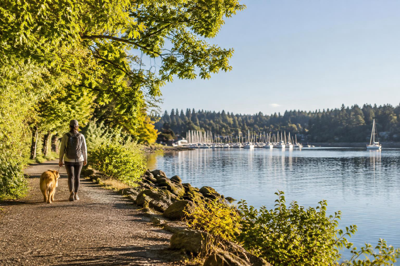 Illustrative a distinct regional lifestyle, outdoor, travel, or home detail accompanying Weekends in Olympia: A Local Guide to Waterfront Walks, Wooded Trails and Easy Outings
